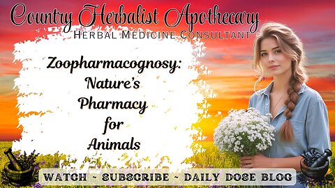 Zoopharmacognosy: Nature’s Pharmacy for Animals