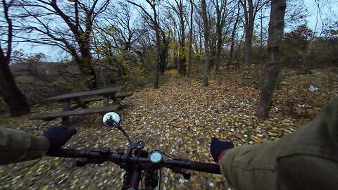 Cycling, 21.11.2025 [A] Donauinsel