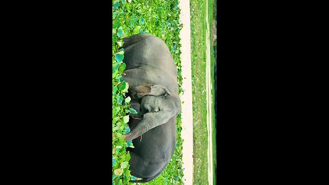 Welcome to Sri Lanka 🇱🇰