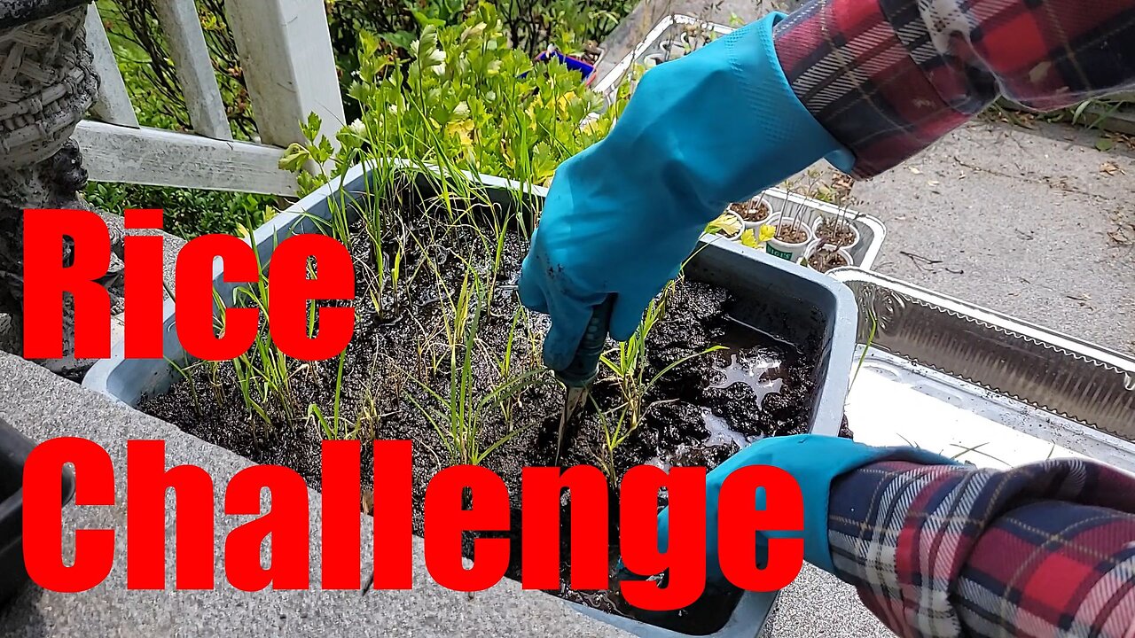 It's Planted