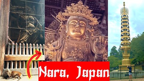WORLD'S LARGEST WOODEN BUDDHA! WE PET WILD DEER IN THE Tōdai-ji TEMPLE IN NARA, JAPAN!