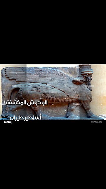 ️ Flying Monsters: Ancient Myths REVEALED!