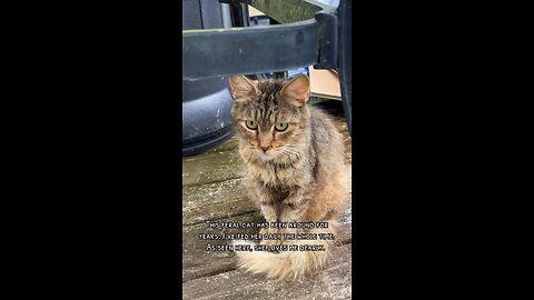 My old friend who lives outside