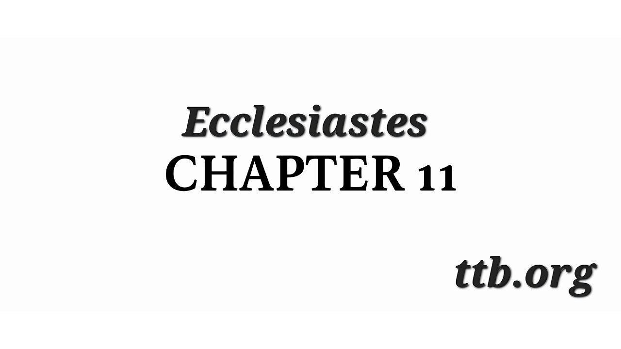 Ecclesiastes Chapter 11 (Bible Study)