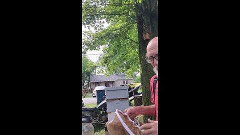 🐝Feeding Bees Quick🐝