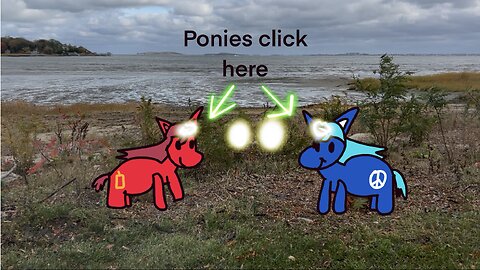 Pony message