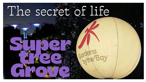 Gardens by the Bay: A Free Nighttime Spectacle in Singapore!