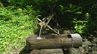 Sound of a Forest Spring - Relaxing Water Sounds for Sleep & Meditation (ASMR)