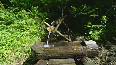 Sound of a Forest Spring - Relaxing Water Sounds for Sleep & Meditation (ASMR)