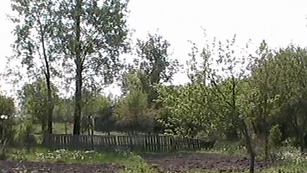 Cosmești, 2007