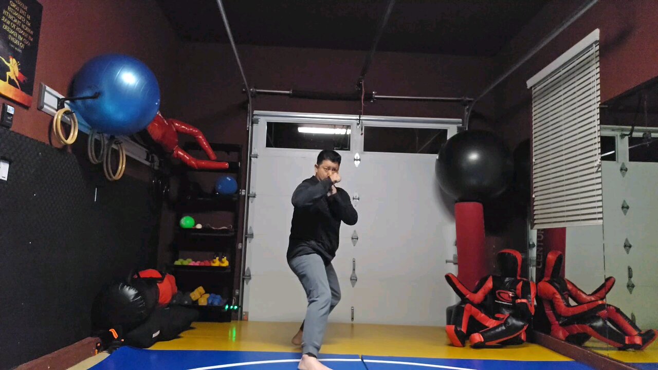 WTD 2 Step Kick Combination 83