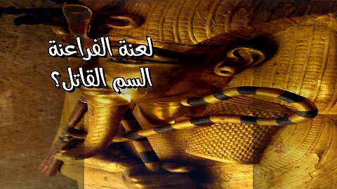 لعنة الفراعنة: هل السم وراء الموت؟ ️