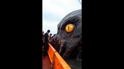 Mysterious River Creature Caught on Camera 🐉”