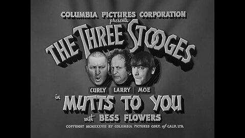 The Three Stooges - "Mutts To You"