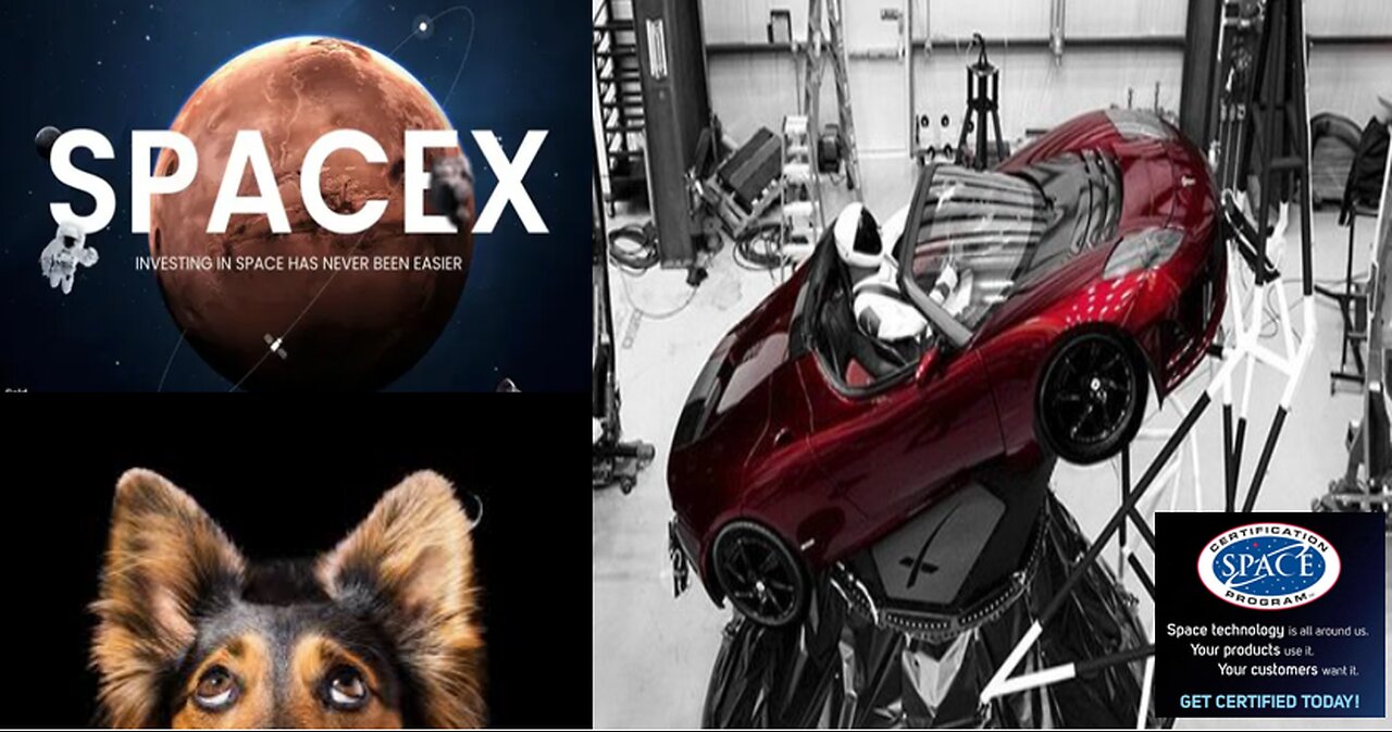 FAKE X - SPACE X - ANOTHER SPACE MONEY GRIFT
