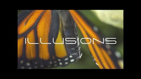 ILLUSIONS (2023)
