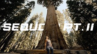 Sequoia National Park, Pt. II