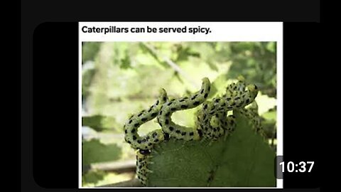 "Surprising Nutritional Facts About Bugs"