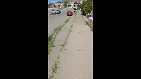 Daily Walk Part 1