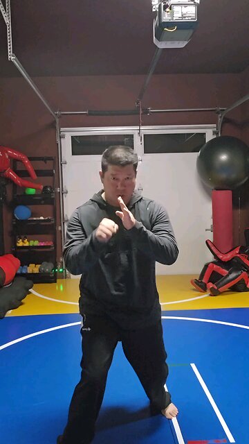 WTD Hand Combination W, Kickstance Set (Rank 1)