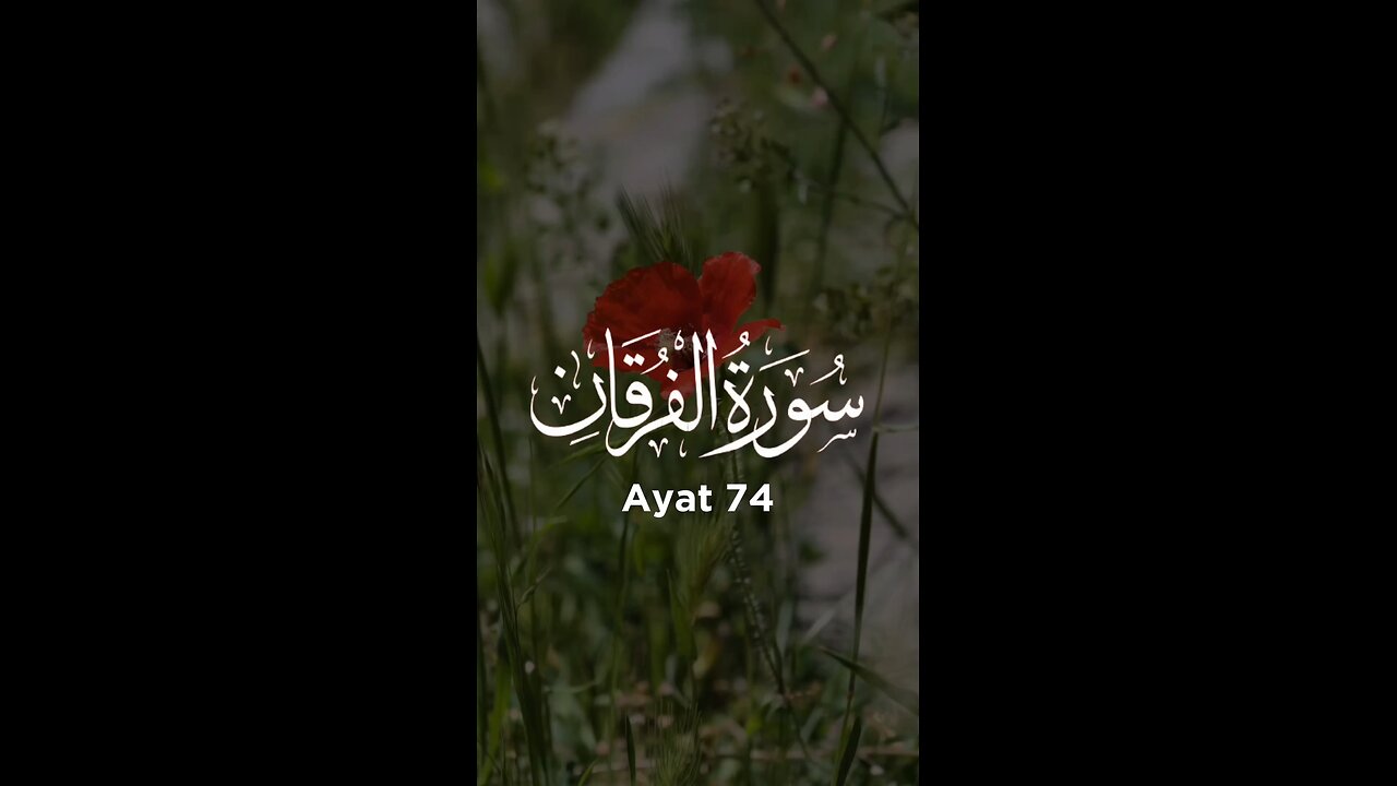 peaceful quran recitation