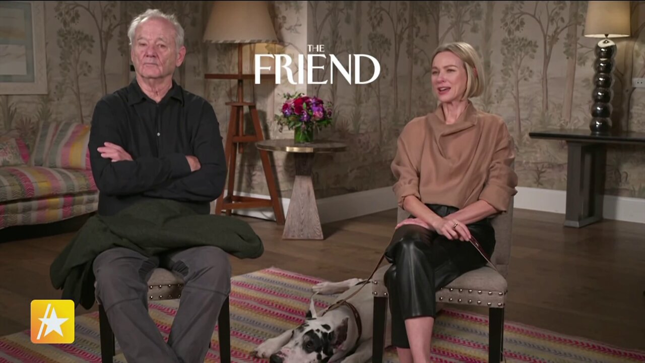 Lucky Dog Or Sleepy Dog More Like It