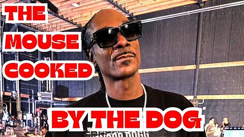 Snoop Dogg ROAST's Disney #snoopdogg #disney