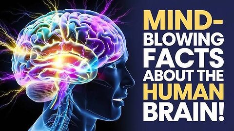 Mind Blowing Facts About The Human Brain