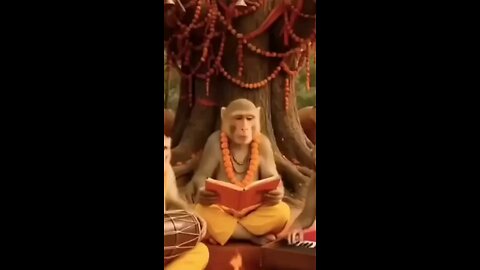 satisfying Video