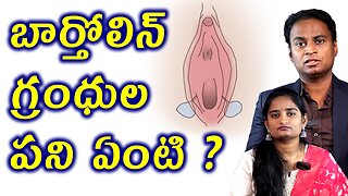 బార్తోలిన్ గ్రంధుల పని ఏంటి? What Is The Function Of Bartholin Glands In Women? Vaginal Glands Work