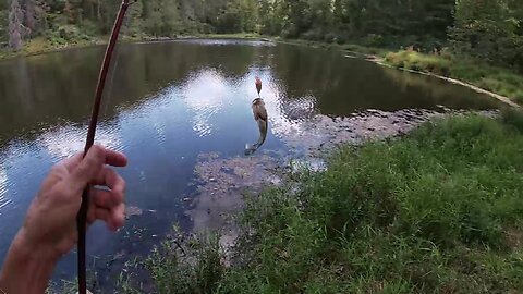 #ftb "From the Bank No. 4 - Numbers " feat: Rapala DT3 Fat (discontinued )