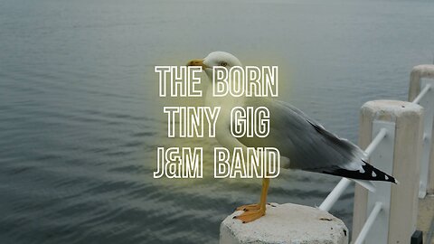 The born tiny gig