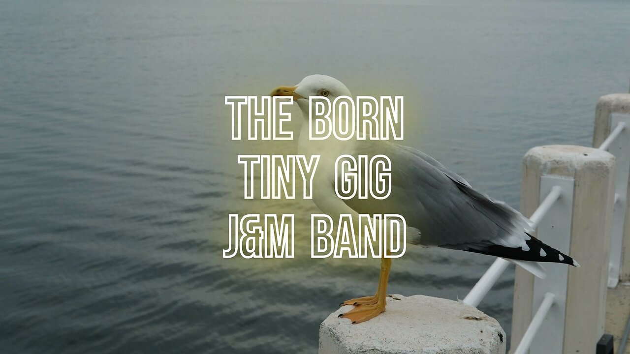 The born tiny gig