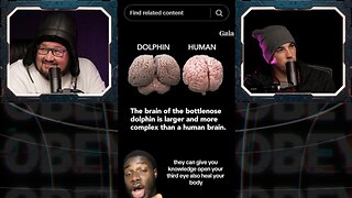 ⚠️DOLPHINS will SAVE US from the AI Takeover⚠️