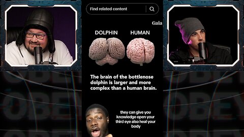 ⚠️DOLPHINS will SAVE US from the AI Takeover⚠️