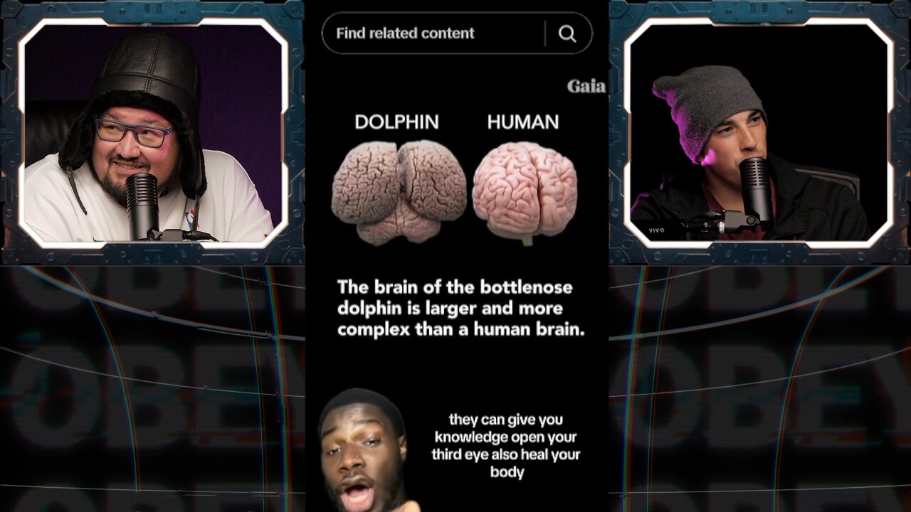 ⚠️DOLPHINS will SAVE US from the AI Takeover⚠️