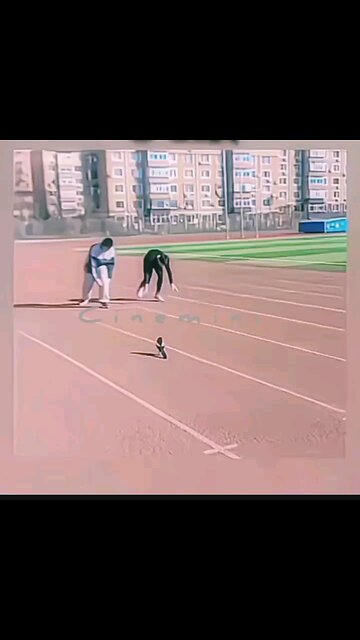 Funny bird racing video