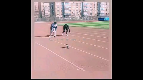 Funny bird racing video