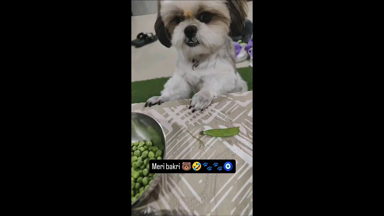 मटर दे दो खालु मे