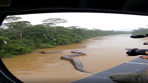 An incredibly huge snake hunts people!😱😱