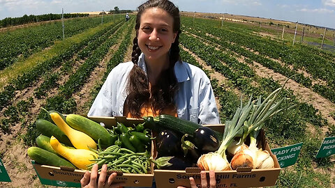 Picking Fresh Produce at Southern Hill Farms in Clermont, Florida