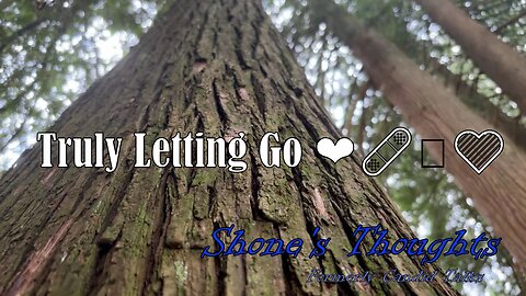 Truly Letting Go ❤️‍🩹🫂💚 Shone's Thoughts | The Secret to Restoring Your Inner Eden #lettinggo