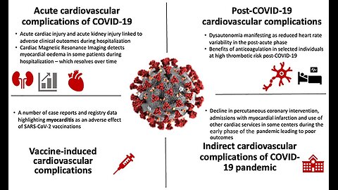 Lipid Nanoparticles | Long Covid vs 'Vax' Injury