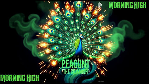 MORNING HIGH 🌞 MONDAY ☁️☁️🚬🤘🏻👀🦚