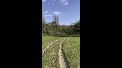 Forest road