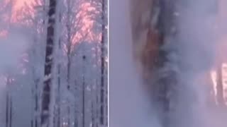 Exploding Trees: In extreme cold, sap and moisture inside trees freezes and expands