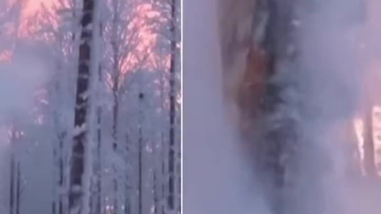 Exploding Trees: In extreme cold, sap and moisture inside trees freezes and expands