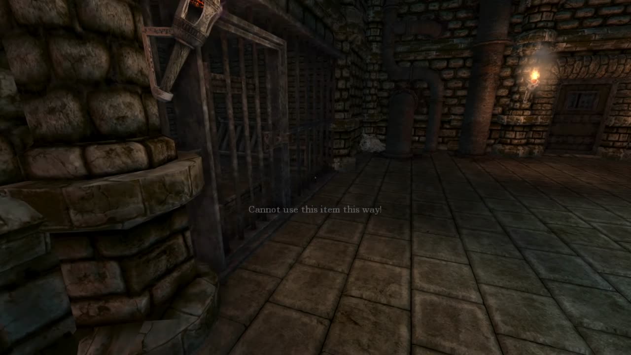 Amnesia - The Dark Descent - FULL GAME Playthrough / Linux Mint - No Commentary - Part 3/3