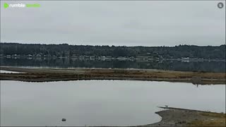 Gray and calm on the water