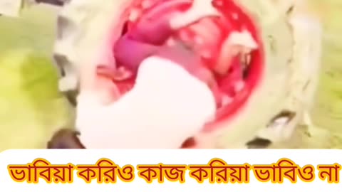 👉 “ভিউয়ের জন্য প্রাণ হারাল! 💔 A Real Tragic Reaction | Bangla Emotional Video”